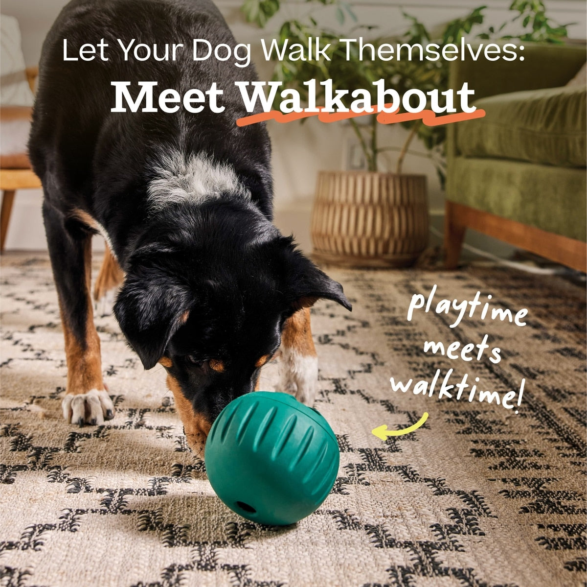 Woof Walkabout Dog Puzzle Toy & Slow-Feeder Kibble Dispenser