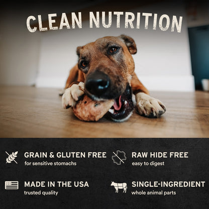 Vital Essentials Raw Salmon Skins Freeze-Dried Dog Treats, Single