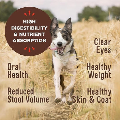 Primal Chicken Formula Nuggets Raw Freeze-Dried Dog Food