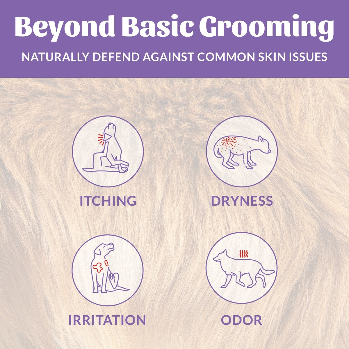 Skout's Honor Probiotic Lavender Pet Shampoo & Conditioner, 16-fl oz bottle