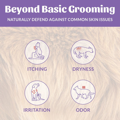 Skout's Honor Probiotic Lavender Pet Shampoo & Conditioner, 16-fl oz bottle