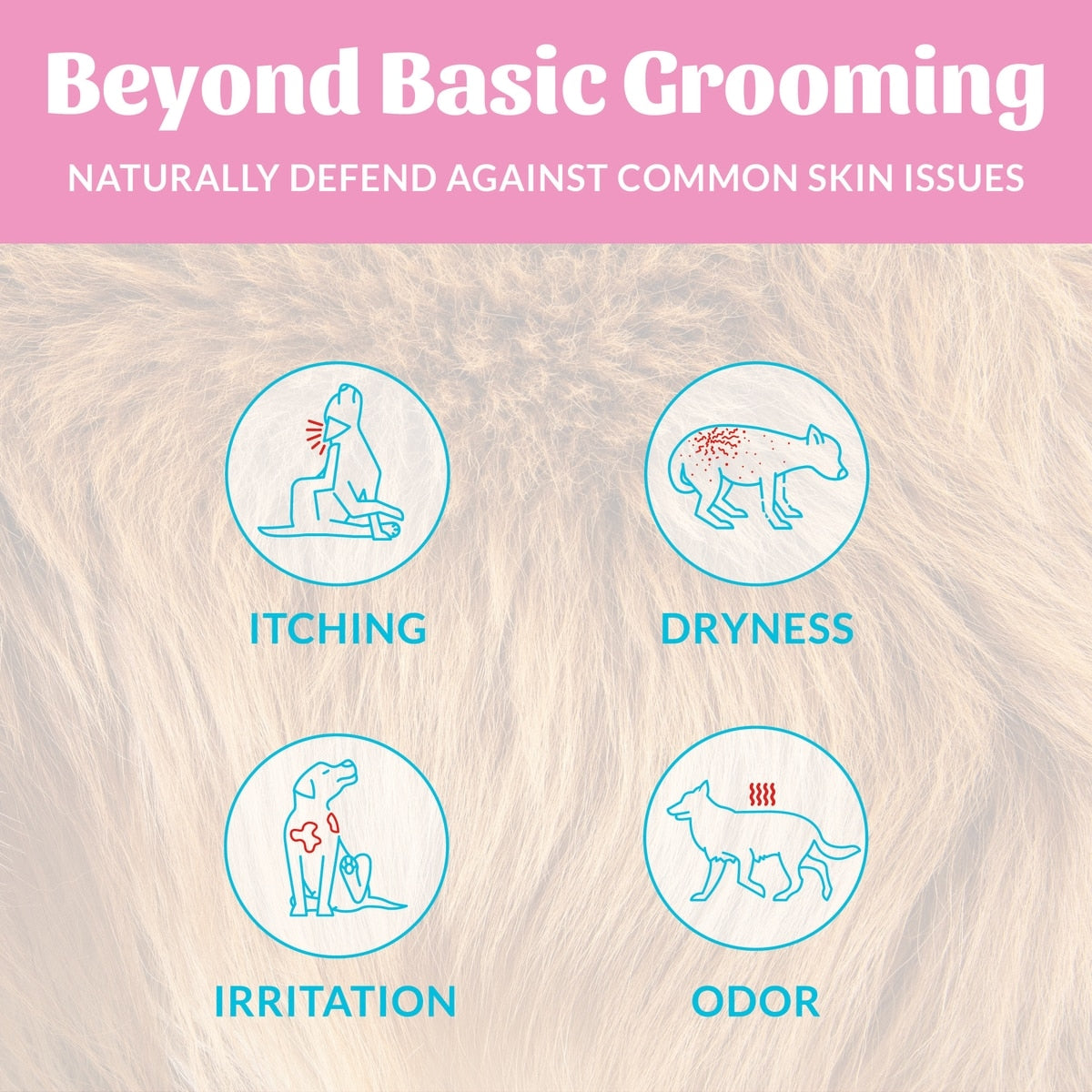 Skout's Honor Happy Puppy Probiotic Cat & Dog Shampoo & Conditioner, 16-fl oz bottle