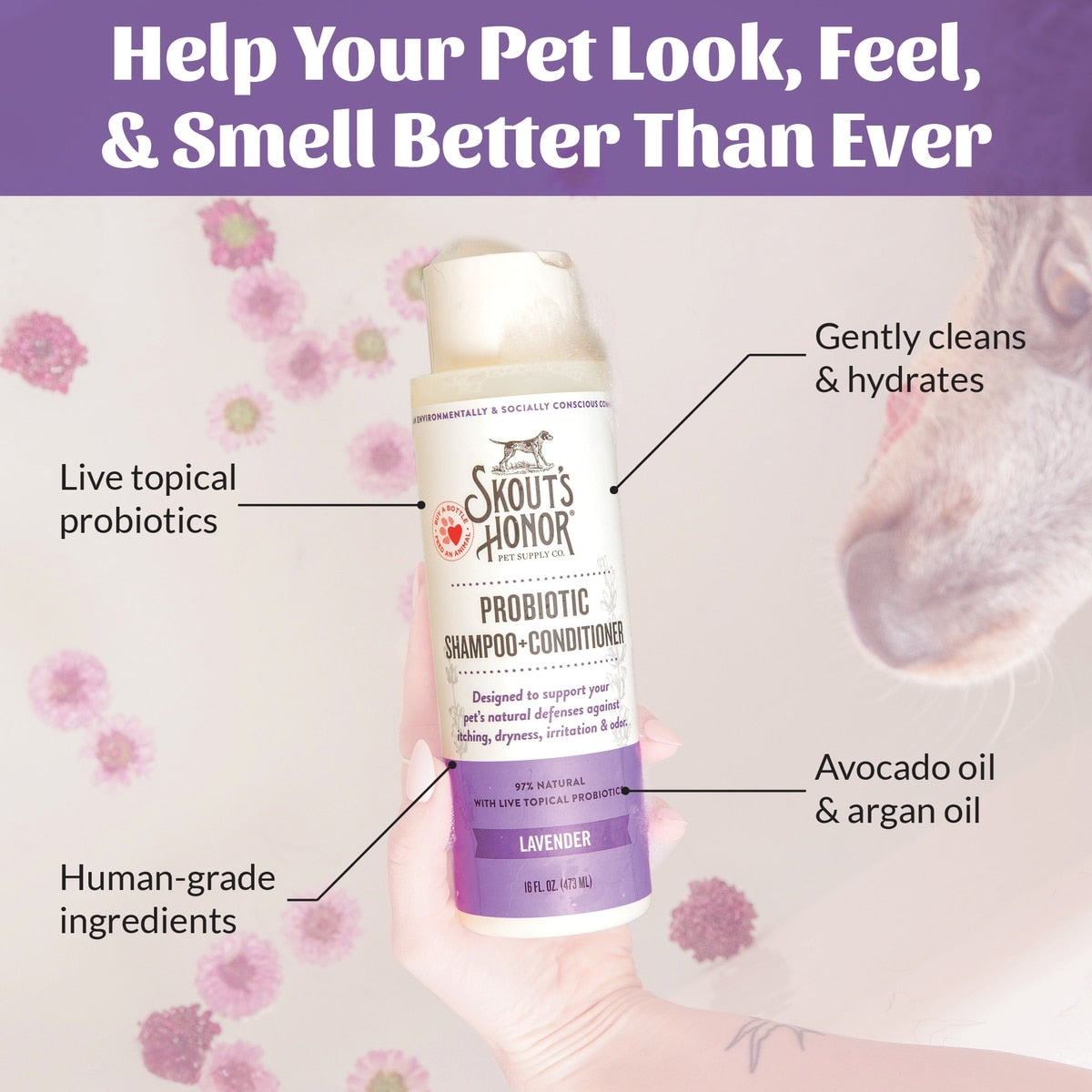 Skout's Honor Probiotic Lavender Pet Shampoo & Conditioner, 16-fl oz bottle