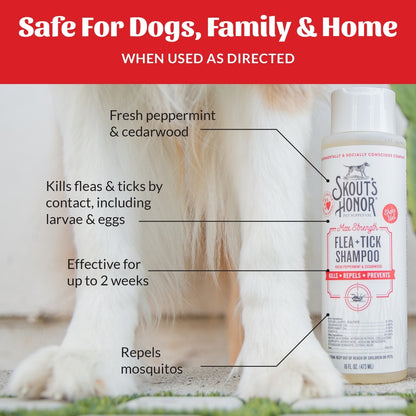 Skout's Honor Flea & Tick Dog Shampoo, 16-fl oz bottle