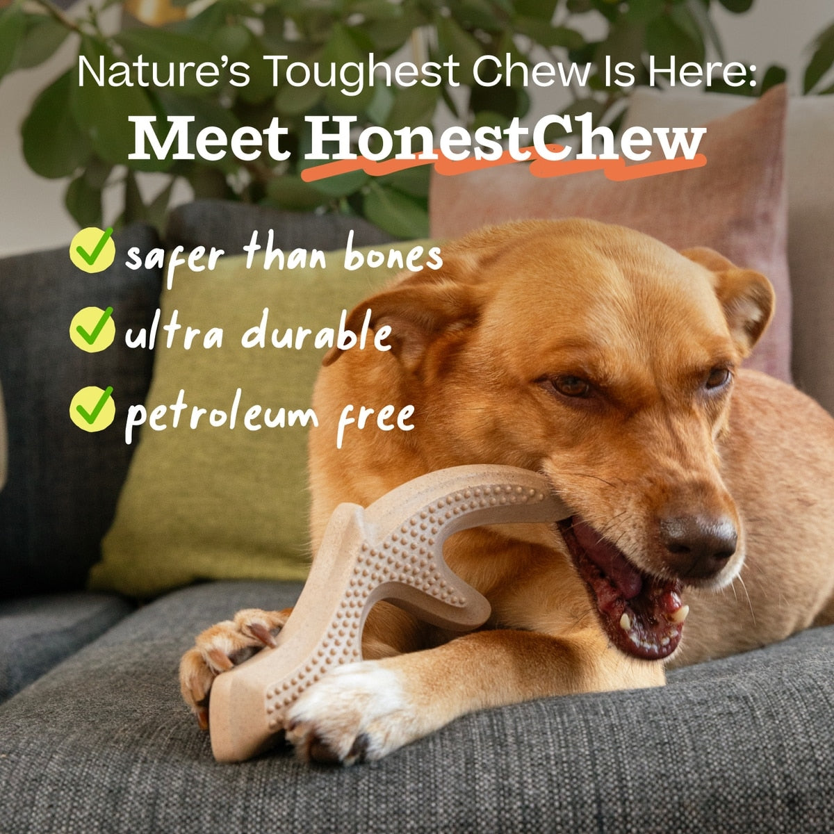 Woof HonestChew Infinity Hard Density All-Natural Food Grade Dog Chew Toy