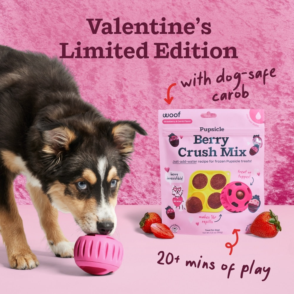 Woof Pupsicle Mix - Berry Crush Limited Edition