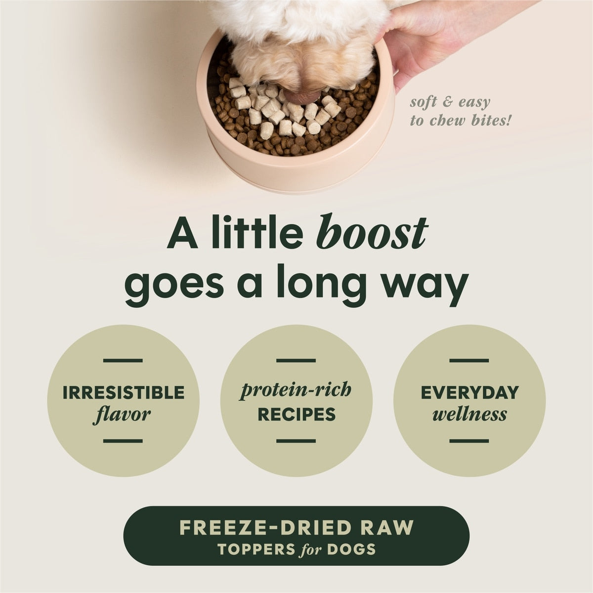 Instinct RawBoost Mixers Beef Recipe Grain-Free Freeze-Dried Dog Food Topper