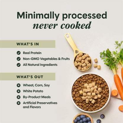 Instinct RawBoost Mixers Beef Recipe Grain-Free Freeze-Dried Dog Food Topper