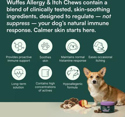 Wuffes Allergy & Itch Relief with Colostrum, Vitamin E & Omega-3 Pork Liver Flavored Soft Chew Supplement for Dogs
