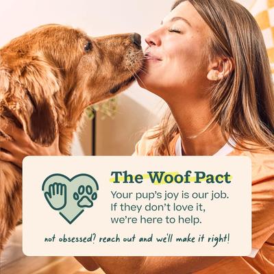 Woof Flipmat Interactive Treat Dispensing Dog Toy, Green, Large