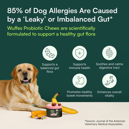 Wuffes Digestive Probiotics Gut Support with Digestive Enzymes Pork Liver Flavored Soft Chew Supplement for Dogs