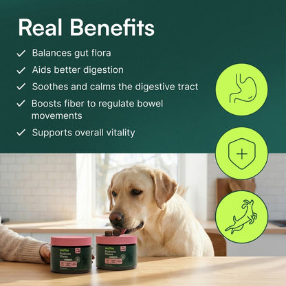 Wuffes Digestive Probiotics Gut Support with Digestive Enzymes Pork Liver Flavored Soft Chew Supplement for Dogs