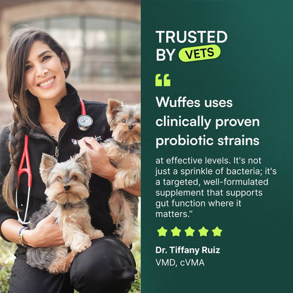 Wuffes Digestive Probiotics Gut Support with Digestive Enzymes Pork Liver Flavored Soft Chew Supplement for Dogs