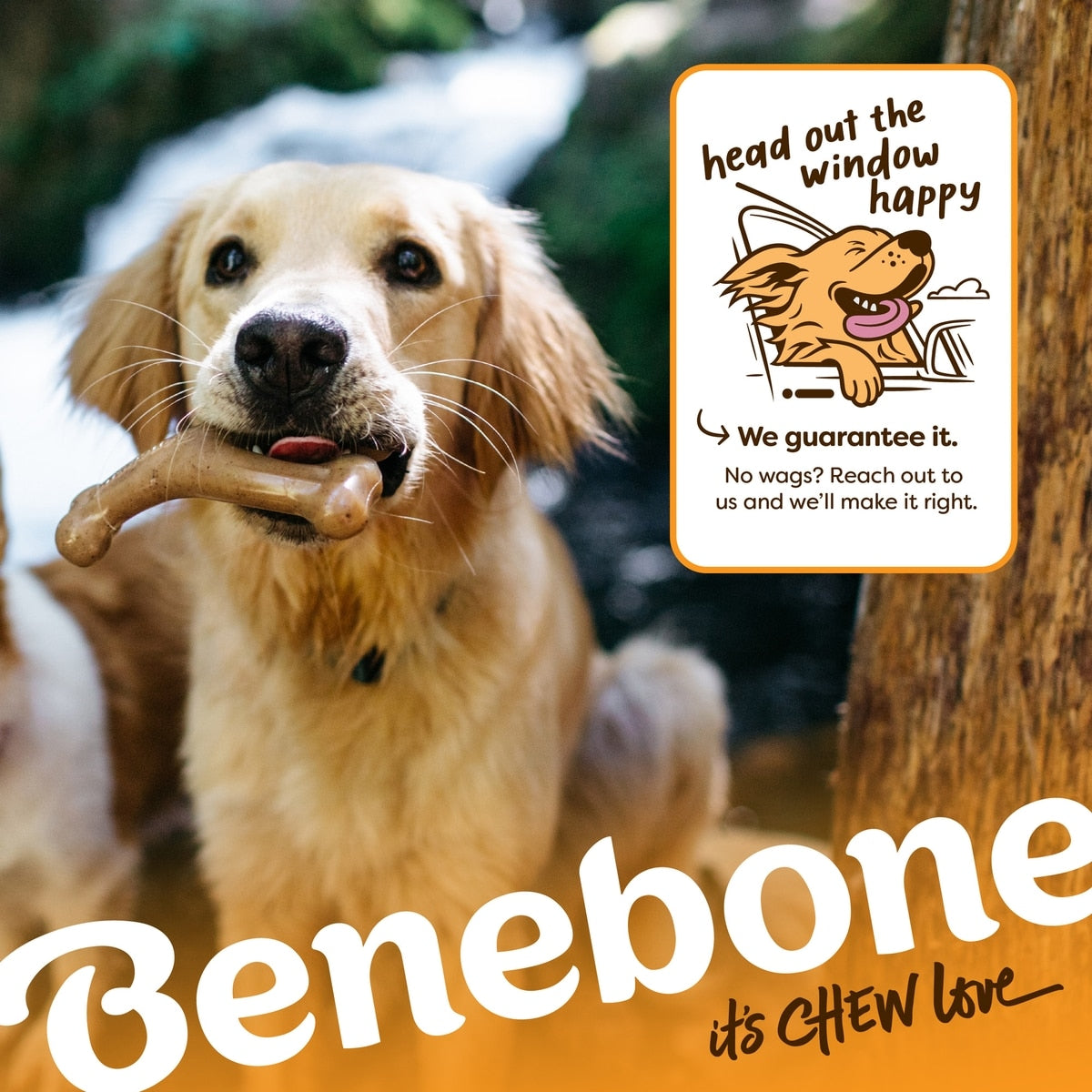 Benebone Holiday Wishbone Venison Flavor Chew Toy