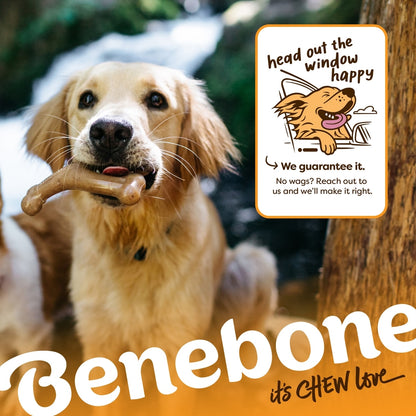 Benebone Holiday Wishbone Venison Flavor Chew Toy