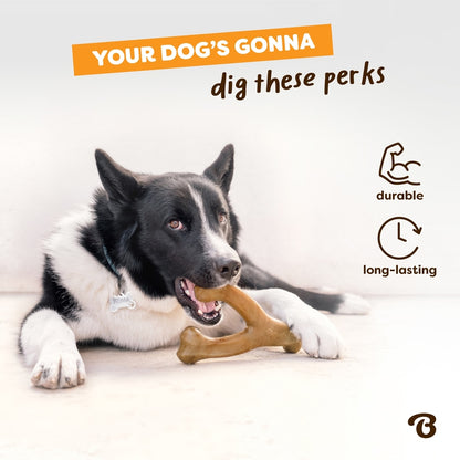 Benebone Holiday Wishbone Venison Flavor Chew Toy