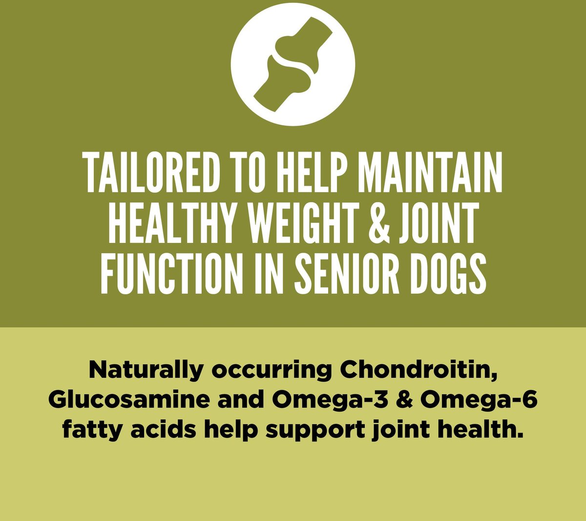Orijen Dog Grain Free Senior Dry Food