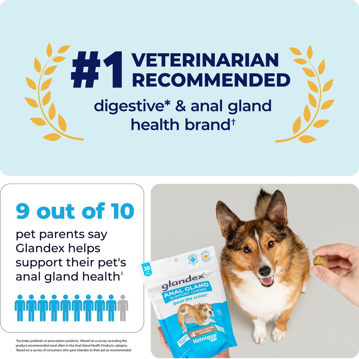 Vetnique Glandex for Dogs Anal Gland Support Peanut Butter Flavored Pumpkin Fiber Soft Chew Supplement for Dogs