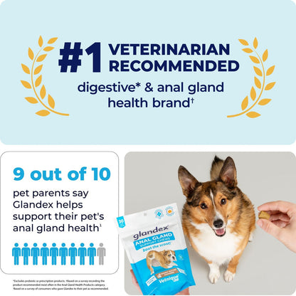Vetnique Glandex for Dogs Anal Gland Support Peanut Butter Flavored Pumpkin Fiber Soft Chew Supplement for Dogs