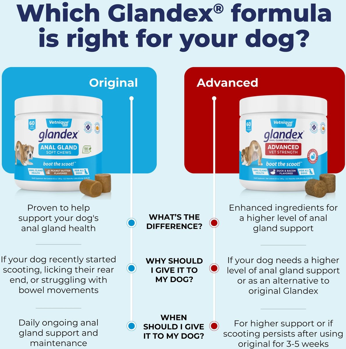 Vetnique Glandex for Dogs Anal Gland Support Peanut Butter Flavored Pumpkin Fiber Soft Chew Supplement for Dogs