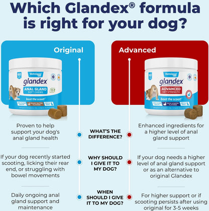 Vetnique Glandex for Dogs Anal Gland Support Peanut Butter Flavored Pumpkin Fiber Soft Chew Supplement for Dogs