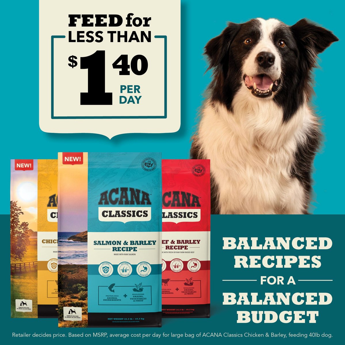 ACANA Classics Grain Free Chicken & Barley Dry Dog Food