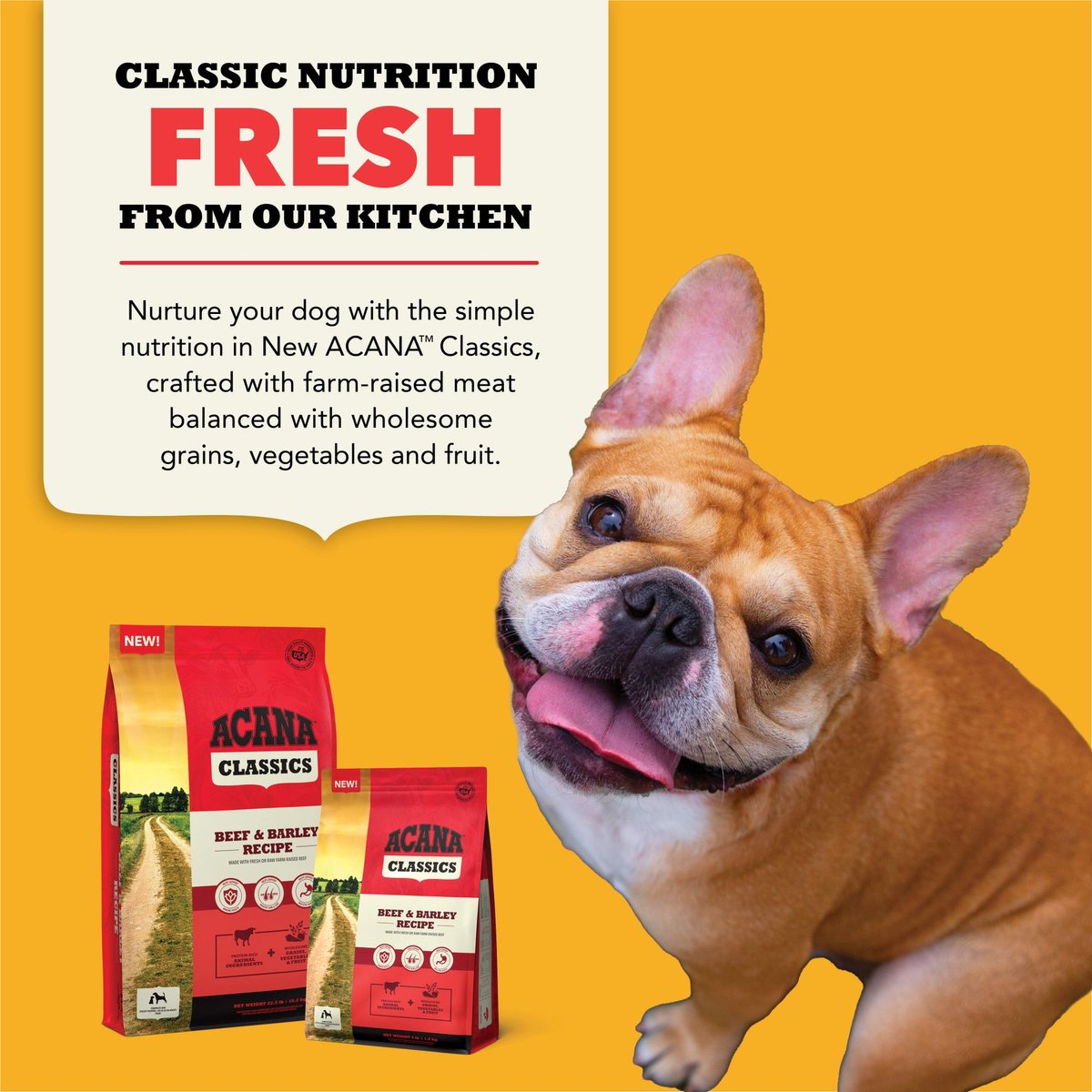 ACANA Classics Grain Free Beef & Barley Dry Dog Food