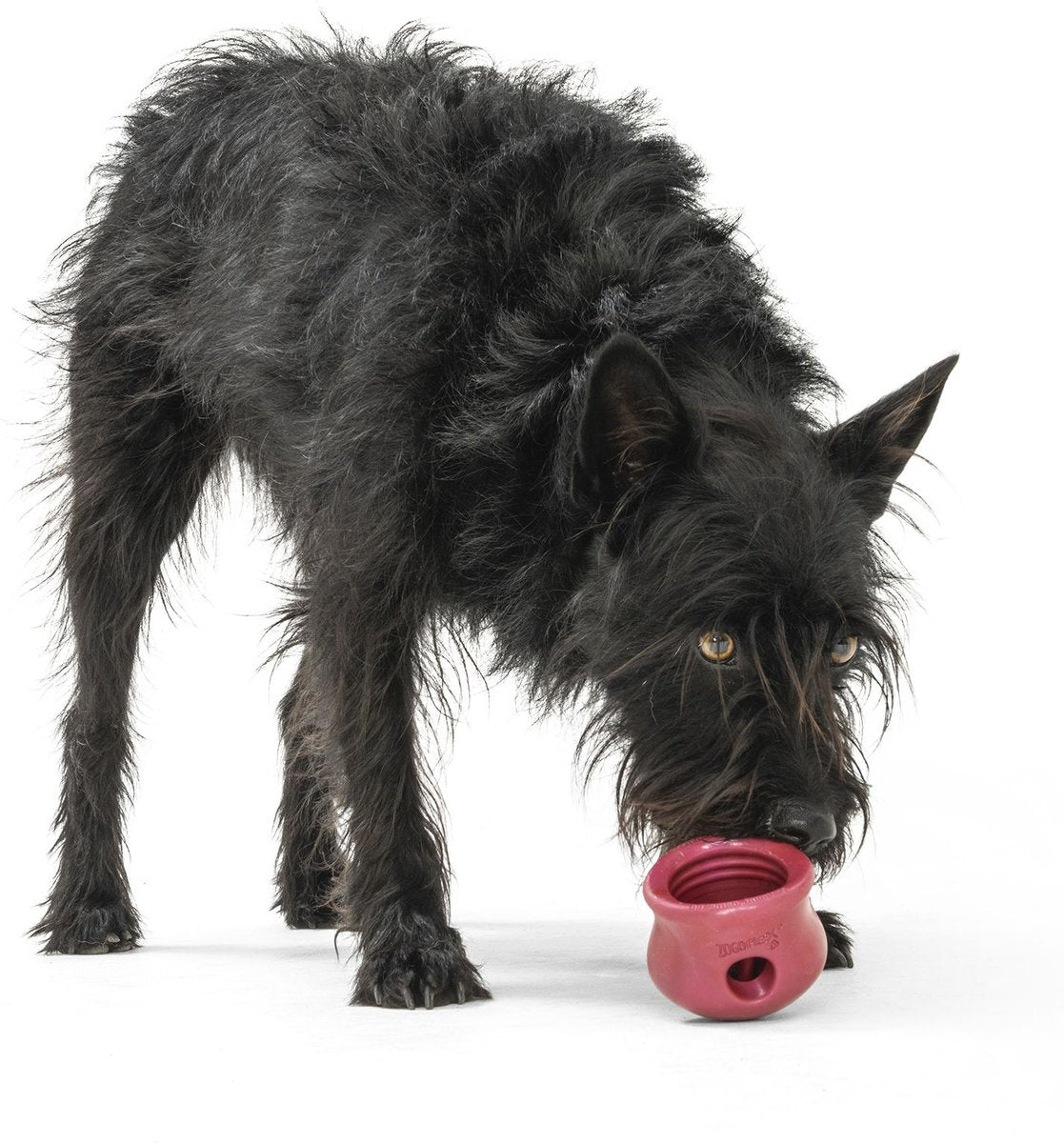 West Paw Toppl Treat Dispensing Dog Chew Toy