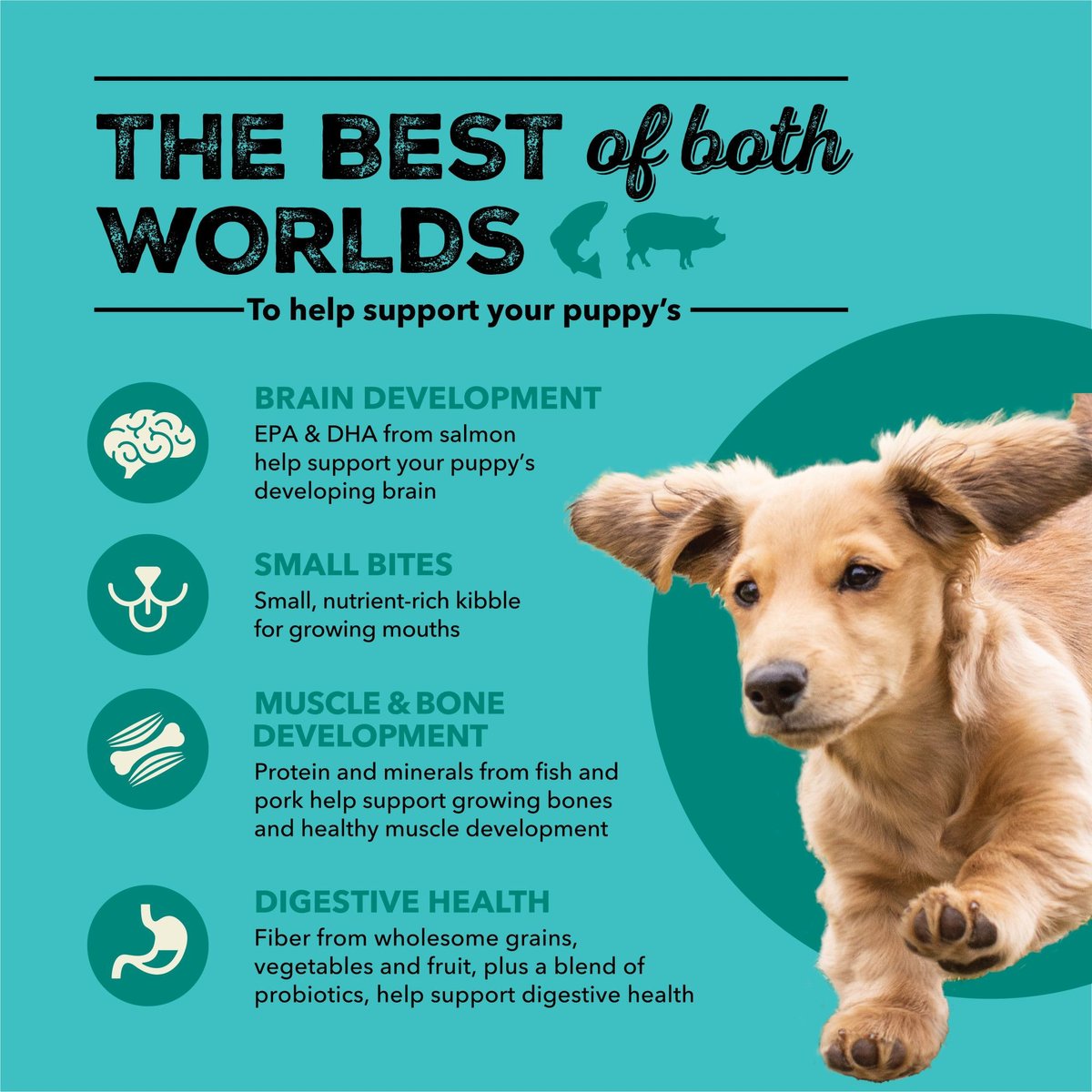 ACANA Wholesome Grains Puppy Sea & Farm Dry Dog Food