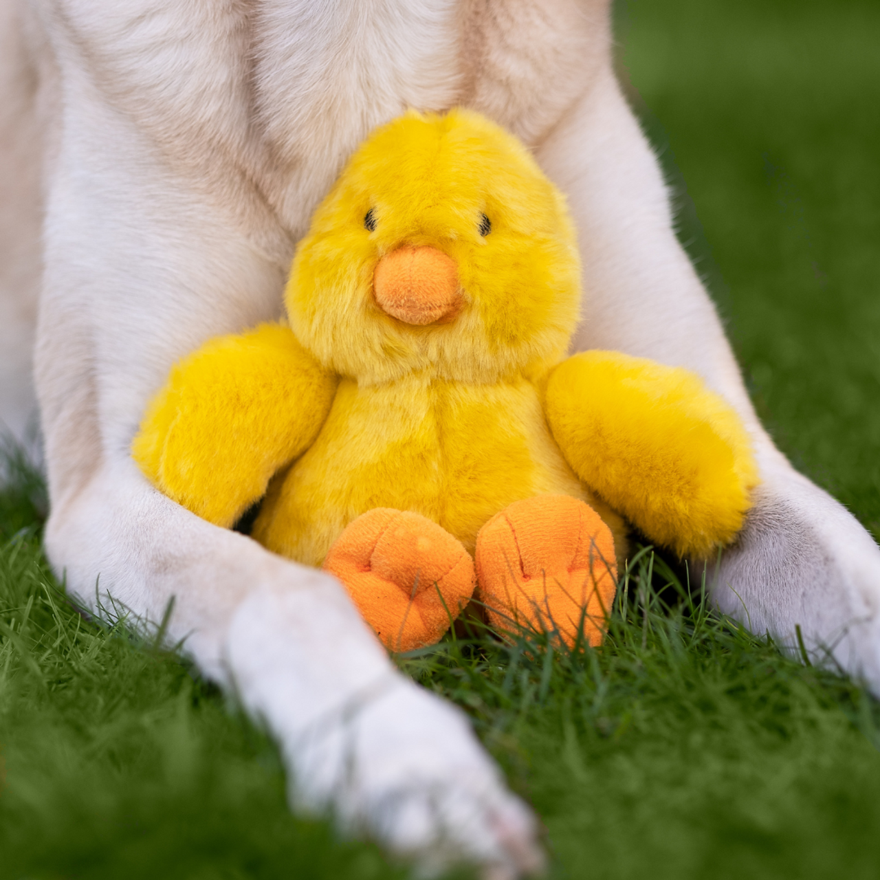 Fluff & Tuff "Howie" - Duck Plush Dog Toy
