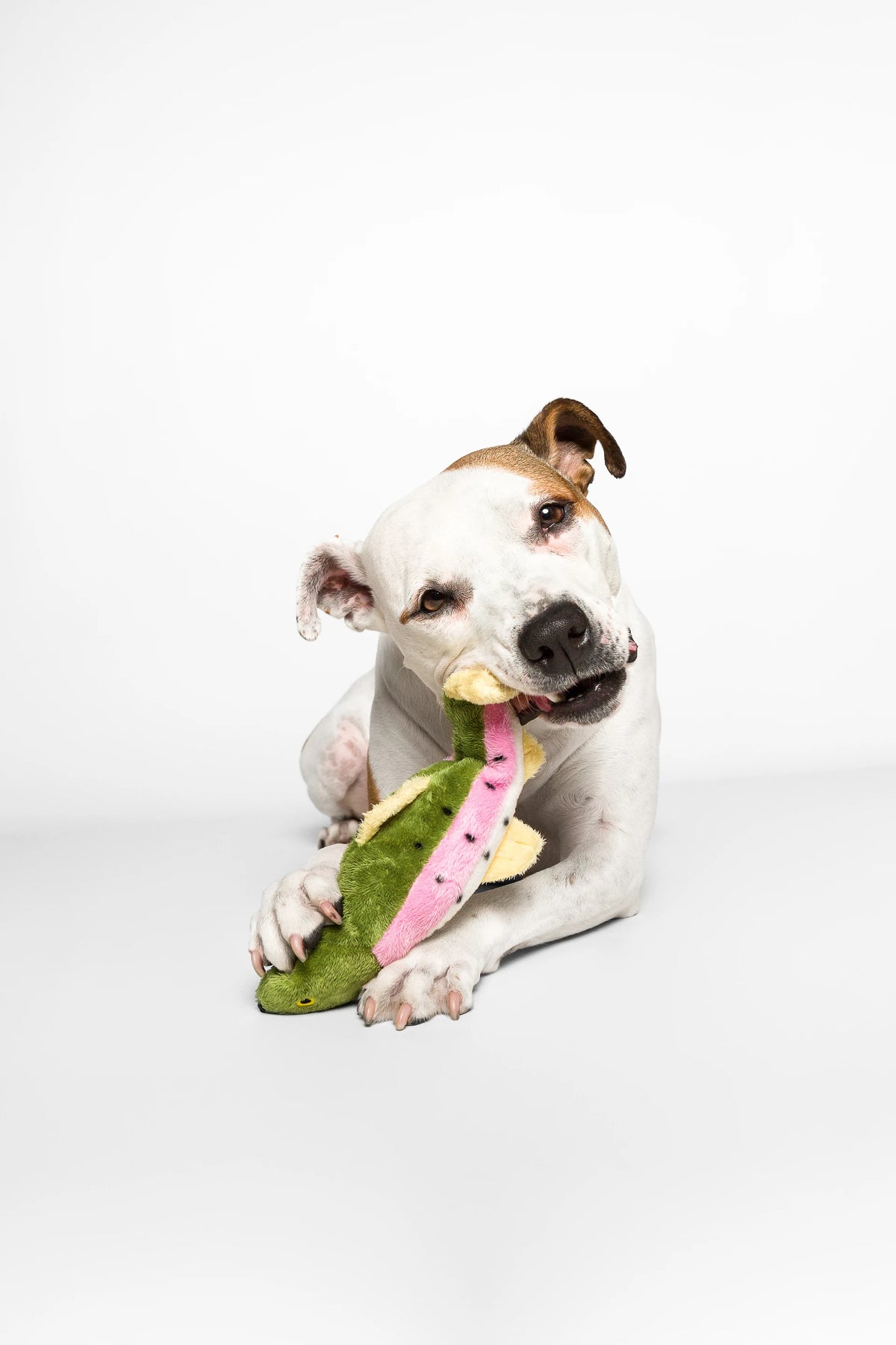 Fluff & Tuff "Burt" Lake Trout Plush Dog Toy