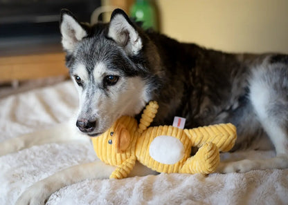 ThoozyPet Tuff & Cuddly Duck Plush Dog Toy