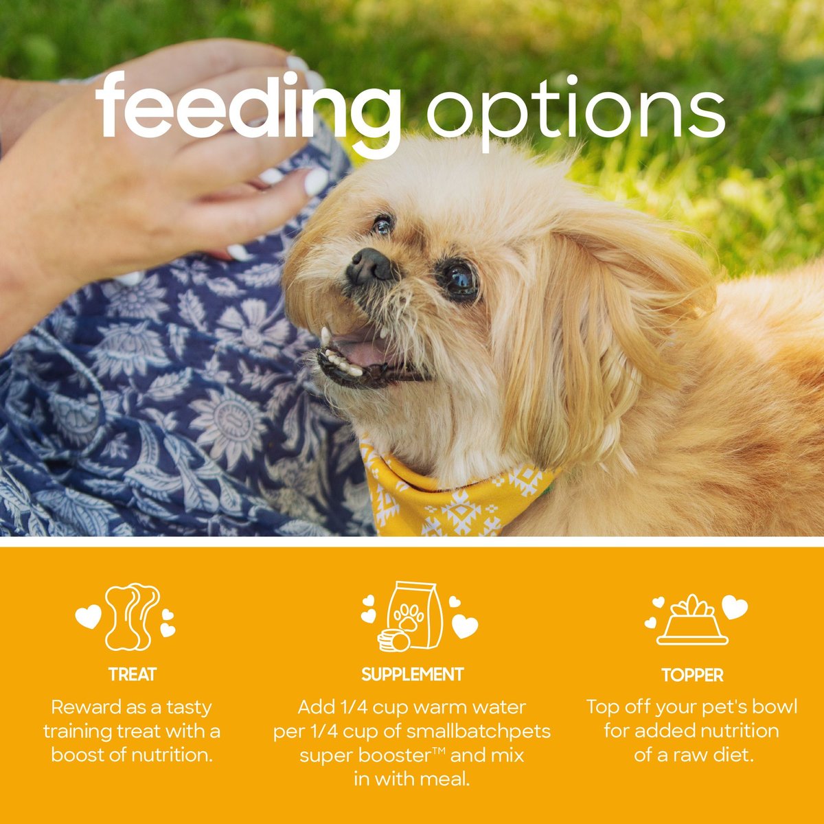 Smallbatch Freeze Dried Pork Super Booster Bites for Dog and Cats