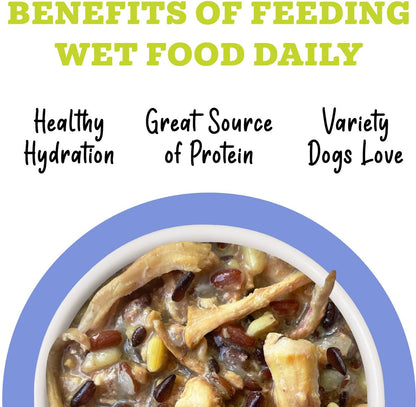 Weruva Awesome Bouncy Recipe Adult Gluten-Free Shredded Canned Wet Dog Food