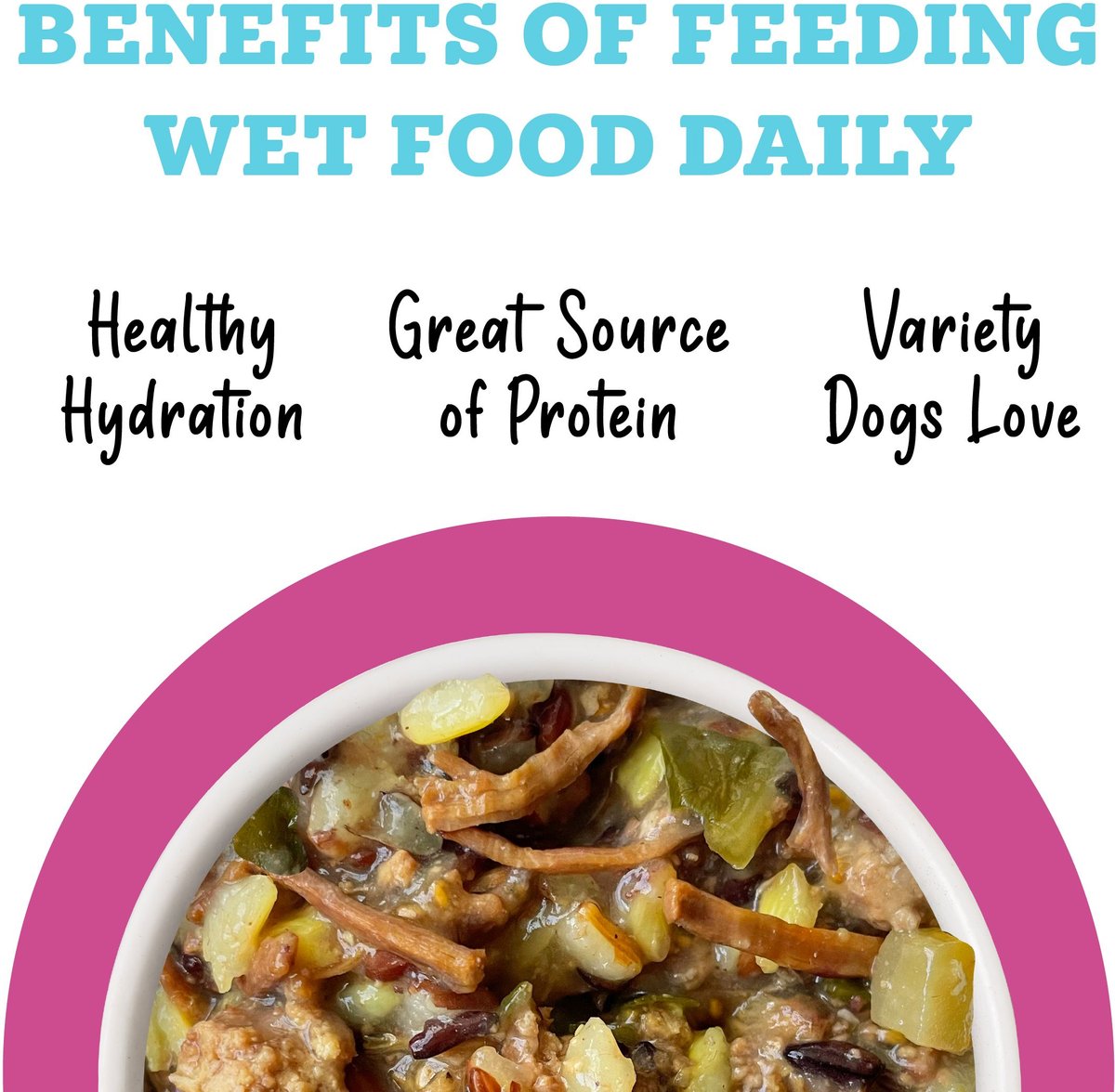 Weruva Awesome Shiny Recipe Adult Gluten-Free Shredded Canned Wet Dog Food