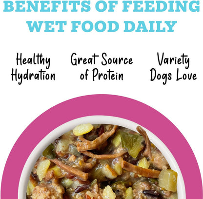 Weruva Awesome Shiny Recipe Adult Gluten-Free Shredded Canned Wet Dog Food