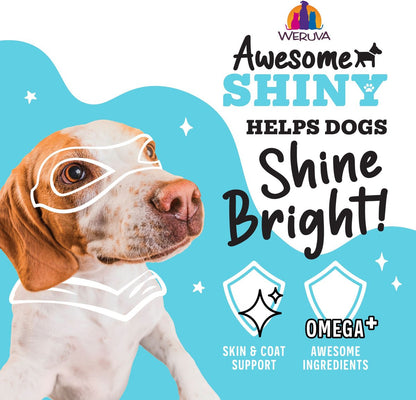 Weruva Awesome Shiny Recipe Adult Gluten-Free Shredded Canned Wet Dog Food