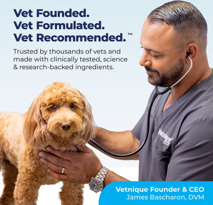 Vetnique Dermabliss Salmon Flavored Allergy Support and Fish Oil Soft Chew Supplement for Dogs