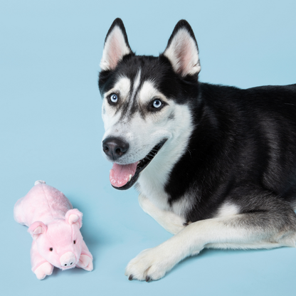 Fluff & Tuff "Petey" - Pig Plush Dog Toy