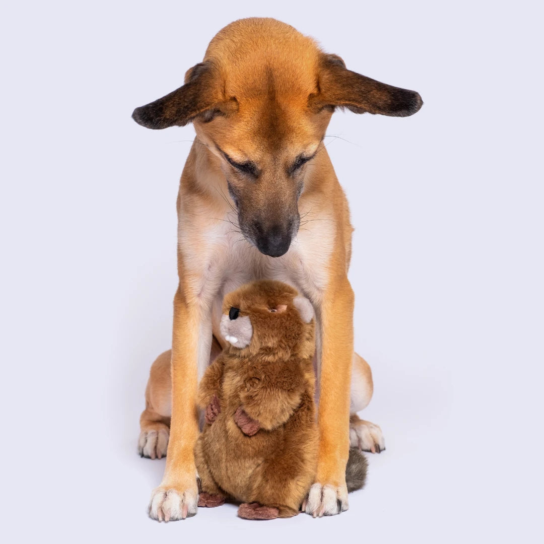 Fluff & Tuff "Troy" Beaver Plush Dog Toy