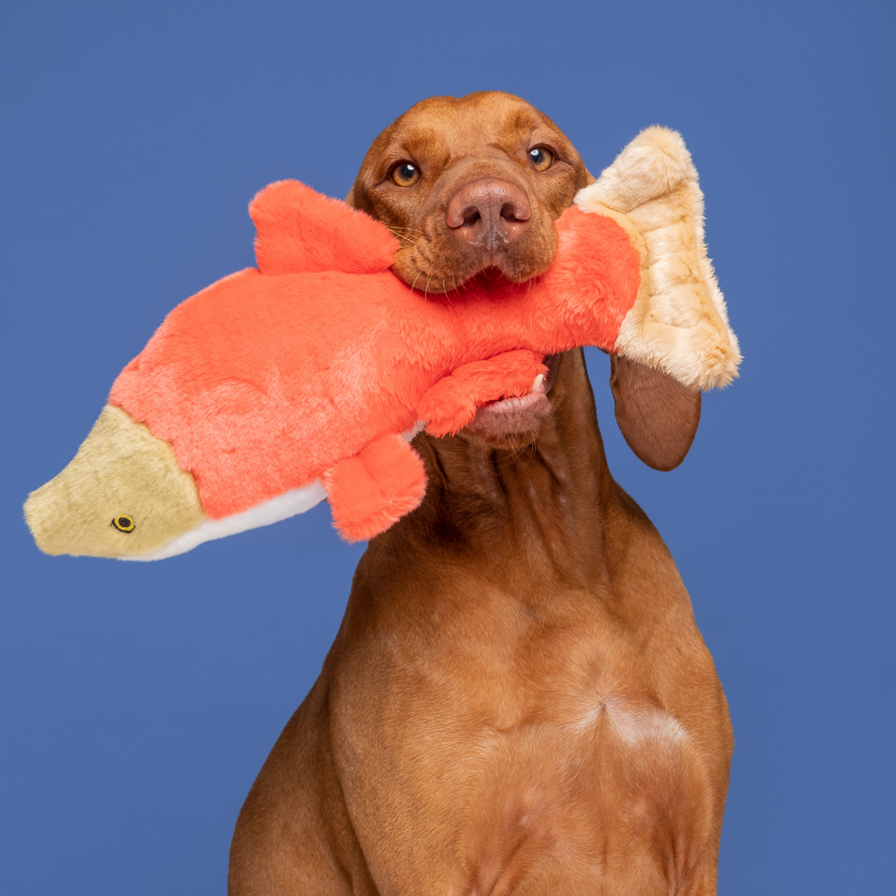 Fluff & Tuff "Cedar" - Salmon Plush Dog Toy