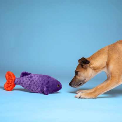 Fluff & Tuff "Cici" - Tropical Fish Plush Dog Toy