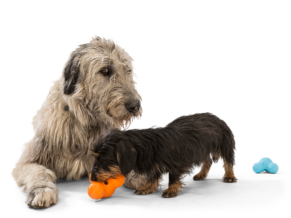 West Paw Tux Puzzle Treat-Dispensing Dog Toy
