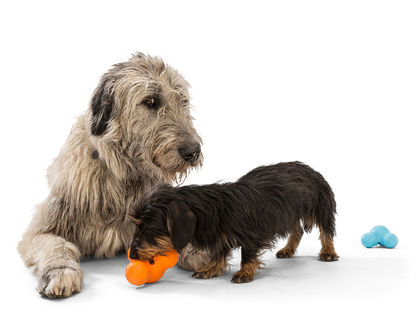 West Paw Tux Puzzle Treat-Dispensing Dog Toy
