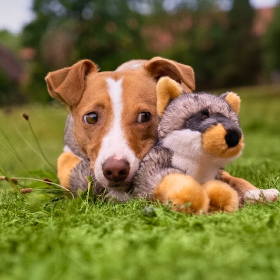 Fluff & Tuff "Sterling" - Fox Plush Dog Toy