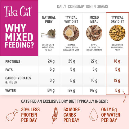 Tiki Cat Born Carnivore Grain Free Indoor Health Non-GMO Chicken and Turkey Dry Food