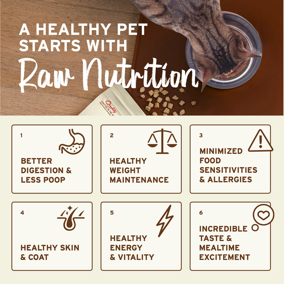 Primal Rabbit Formula Nuggets Frozen Cat Food
