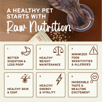 Primal Rabbit Formula Nuggets Frozen Cat Food
