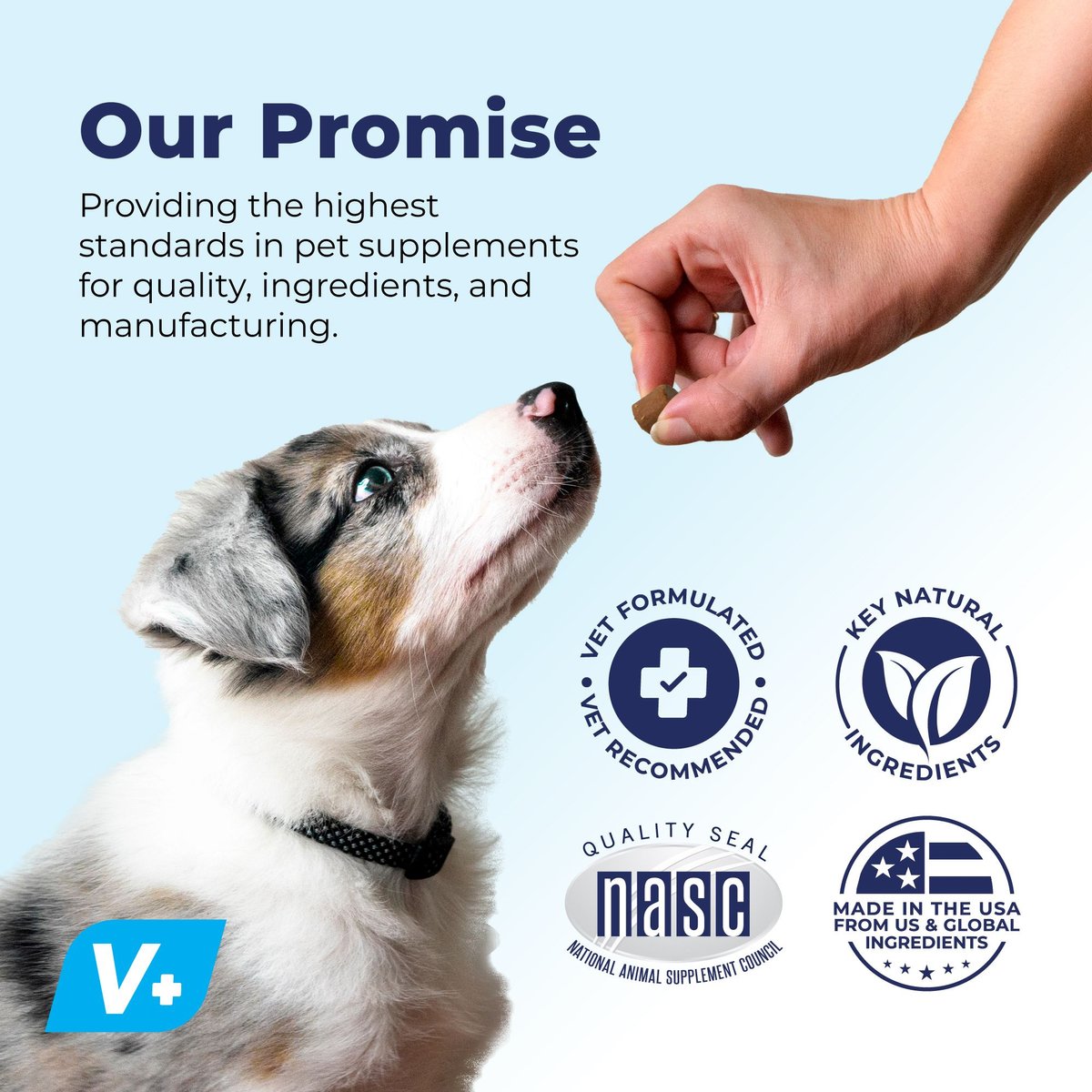 Vetnique Dermabliss Salmon Flavored Allergy Support and Fish Oil Soft Chew Supplement for Dogs