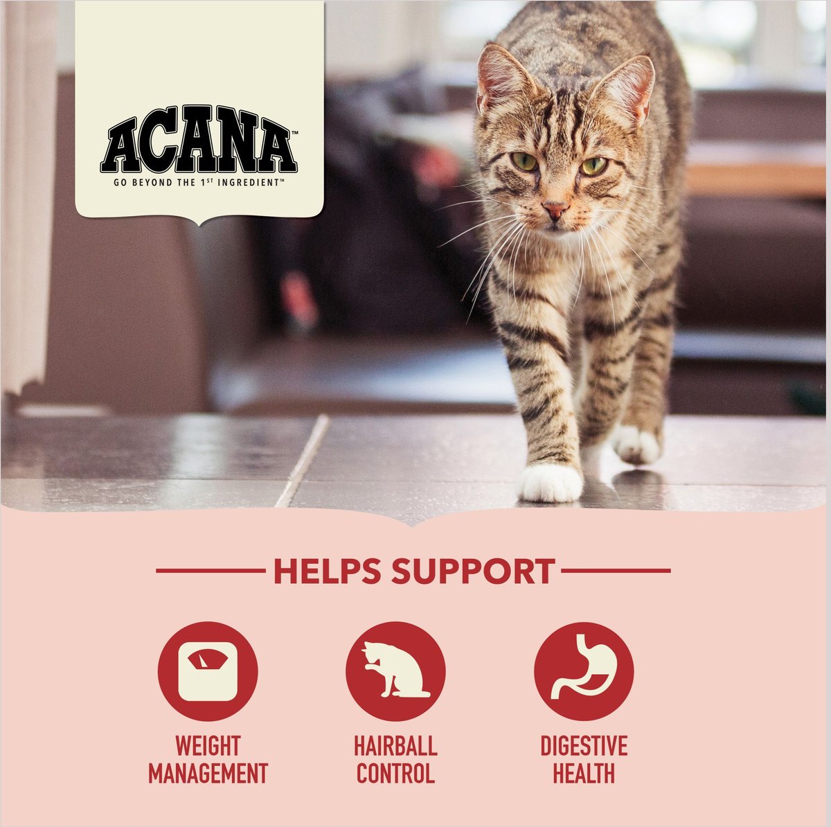 ACANA Indoor Entrée Chicken and Turkey Dry Cat Food